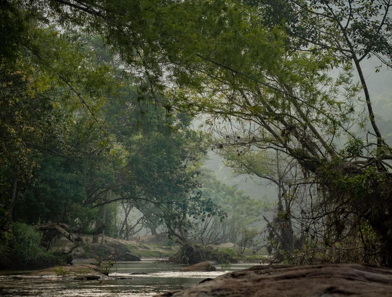 Thodakayam Quiet By The River- Cgh Earth מראה חיצוני תמונה