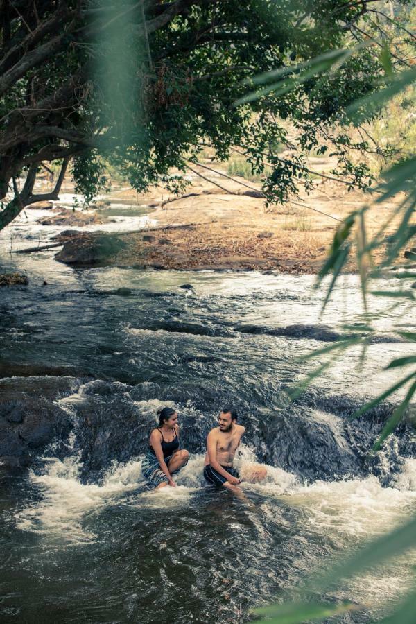Thodakayam Quiet By The River- Cgh Earth מראה חיצוני תמונה